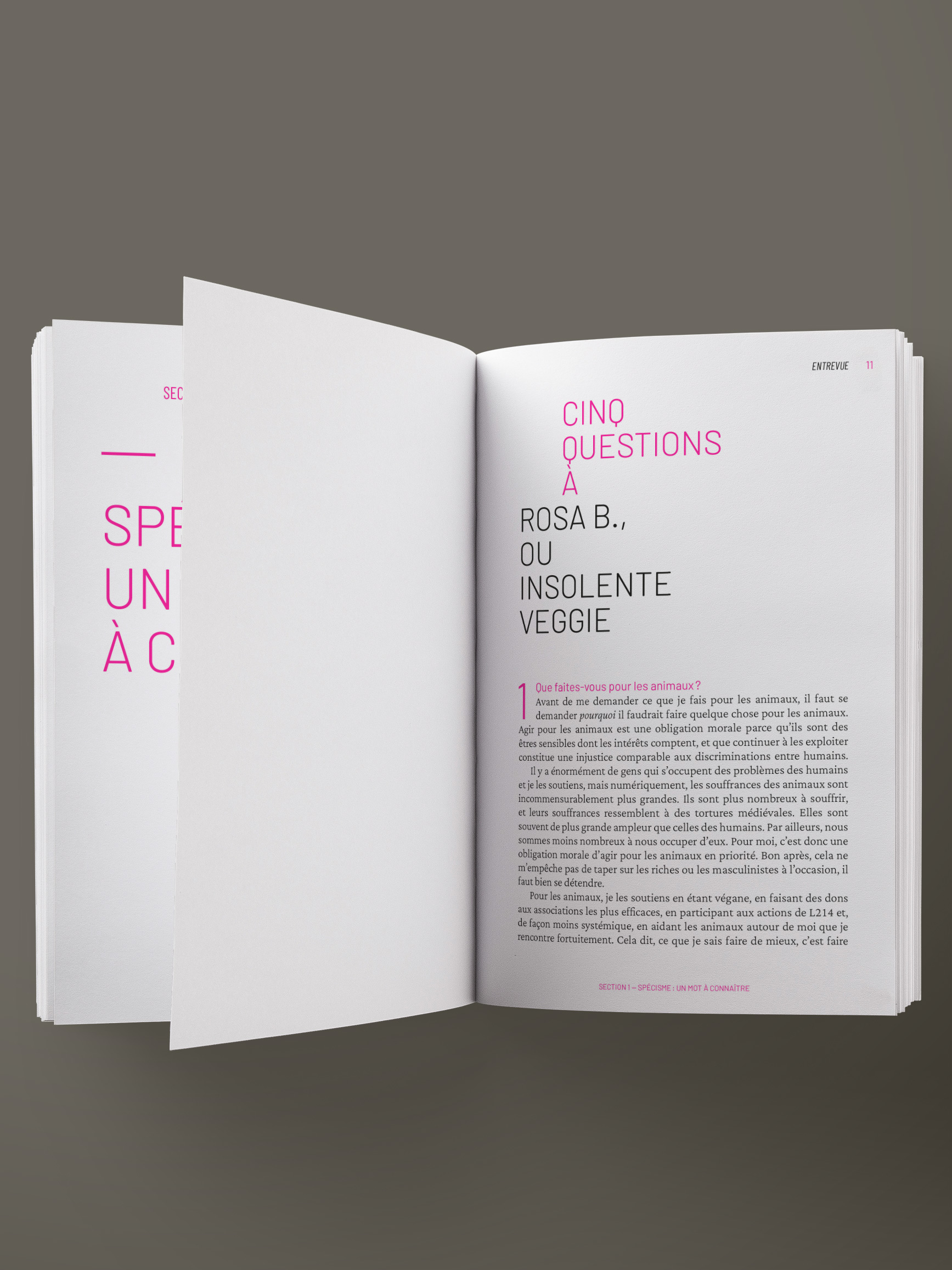 Cinq questions à Rosa B., ou l’Insolente Veggie