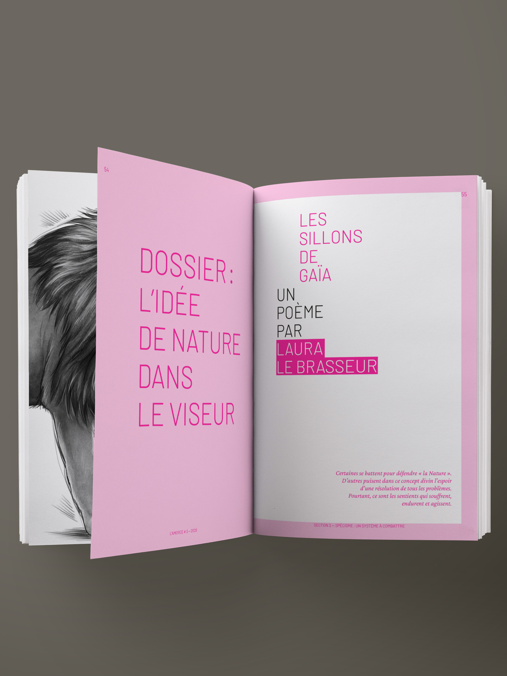 Dossier : L'idée de Nature dans le viseur.