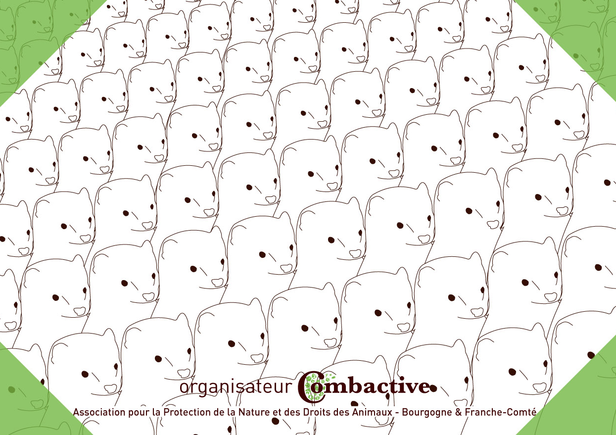visuel pour affichage sur les panneaux latéraux des bus